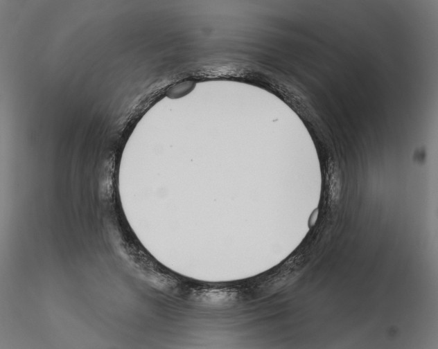 X0000115550546200912181555