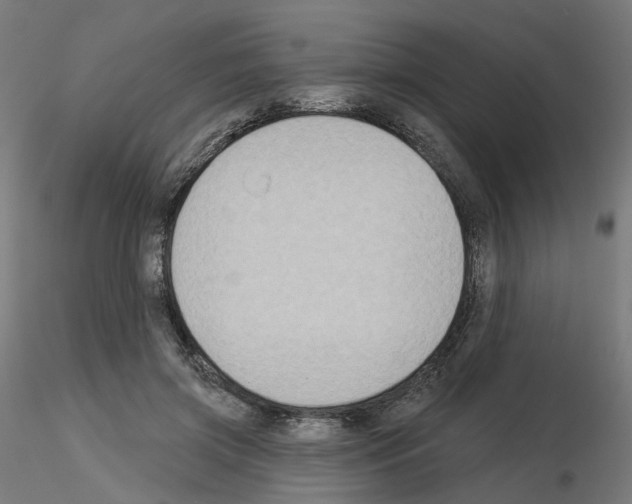 X0000115550549200912181555