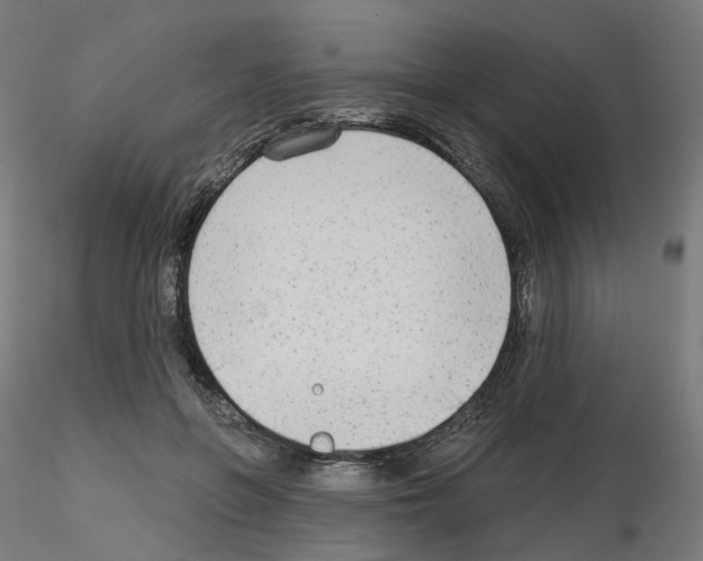 X0000115550551200912181555