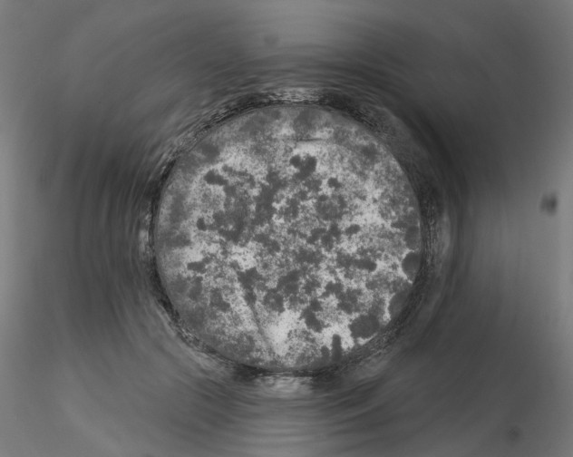 X0000115550553200912181555