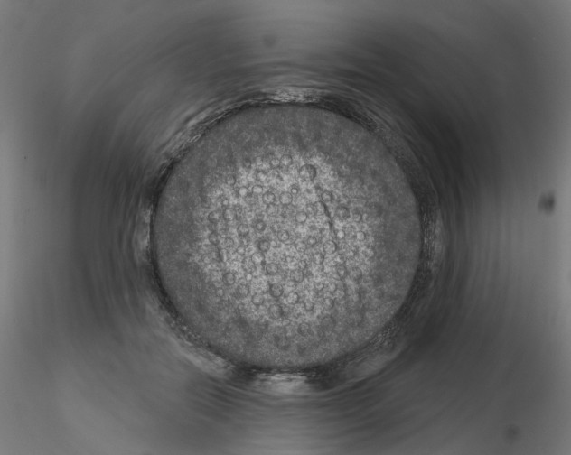 X0000115550554200912181555