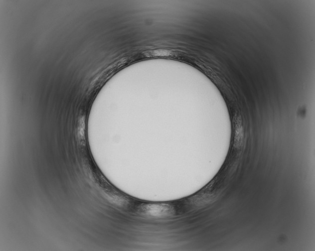 X0000115550555200912181555