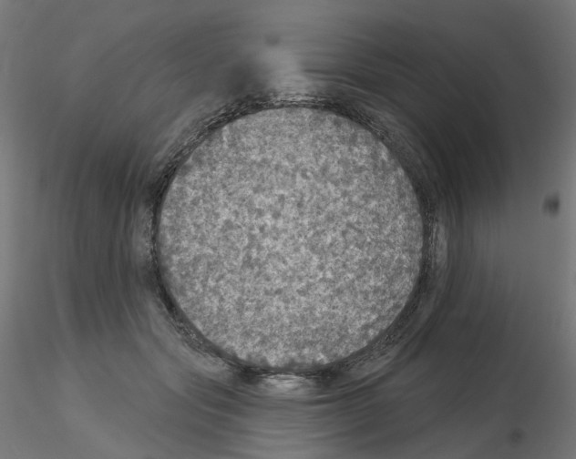 X0000115550557200912181556