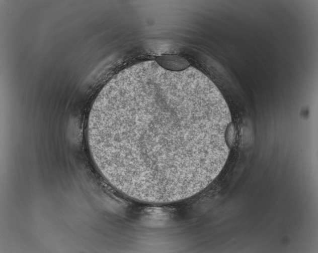 X0000115550558200912181556