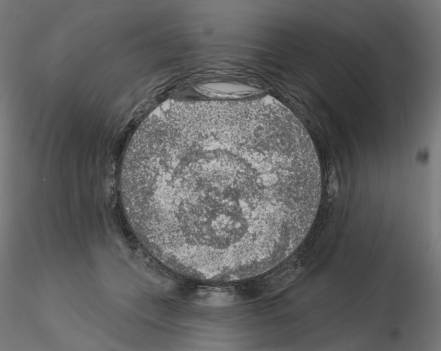 X0000115550559200912181556