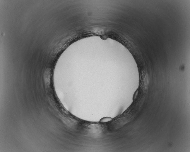 X0000115550562200912181556