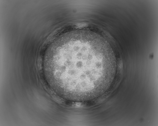 X0000115550565200912181556