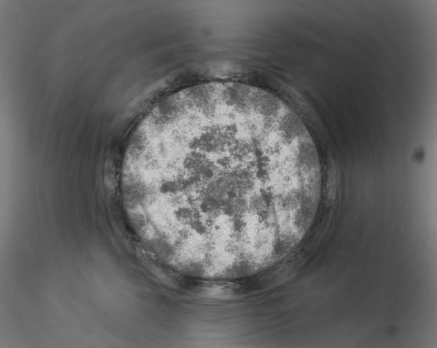 X0000115550569200912181556