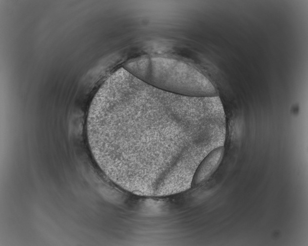 X0000115550570200912181556