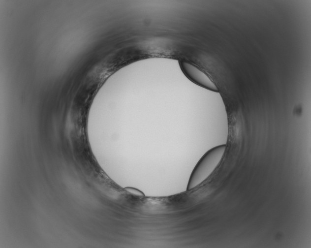 X0000115550573200912181556