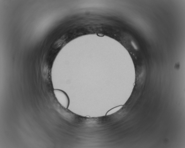 X0000115550574200912181556