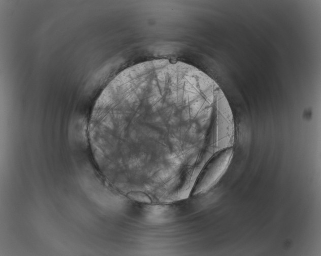 X0000115550575200912181556