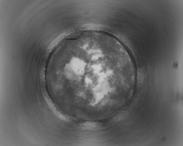 X0000115550581200912181555