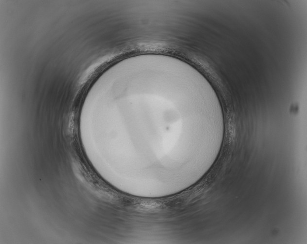 X0000115550583200912181555