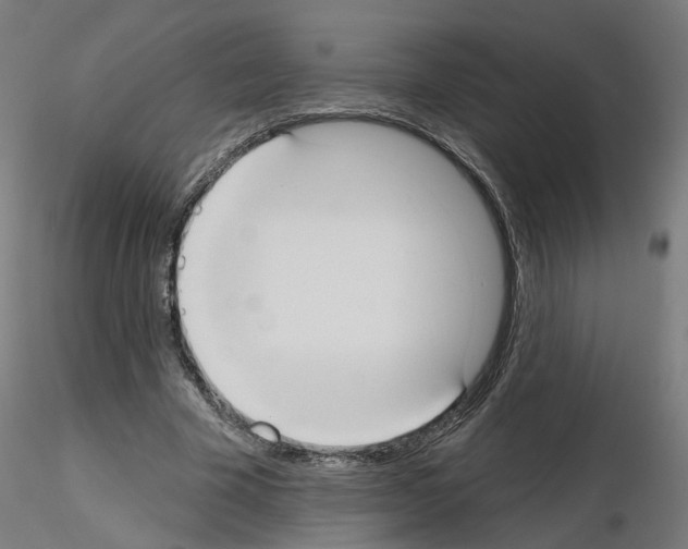 X0000115550585200912181555