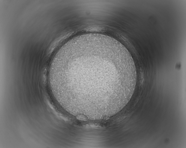 X0000115550586200912181555