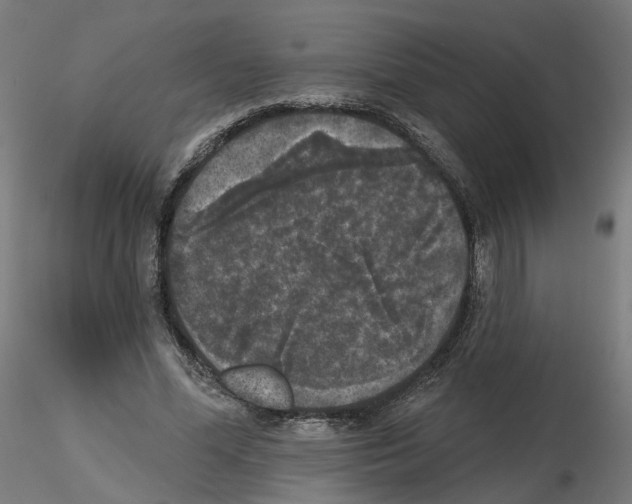 X0000115550588200912181555