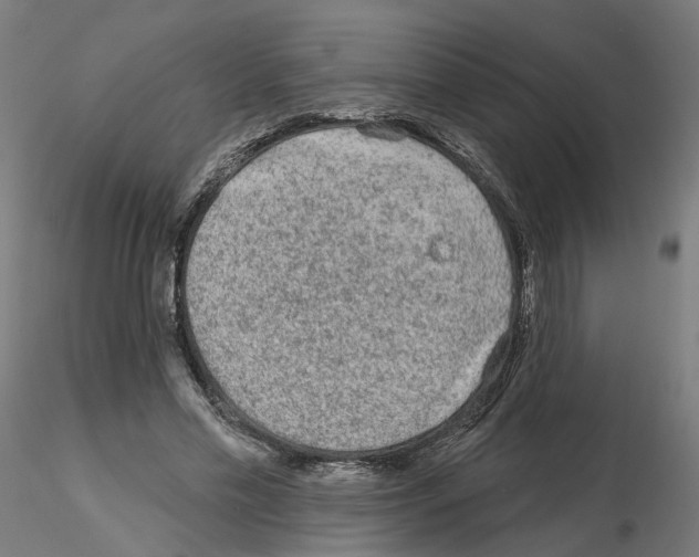 X0000115550589200912181555