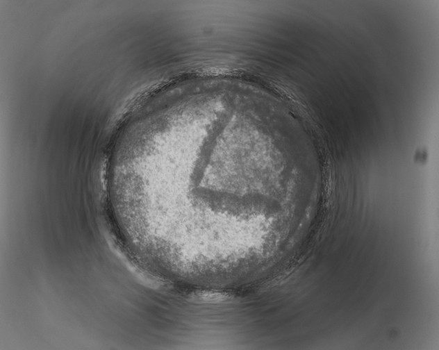 X0000115550590200912181555