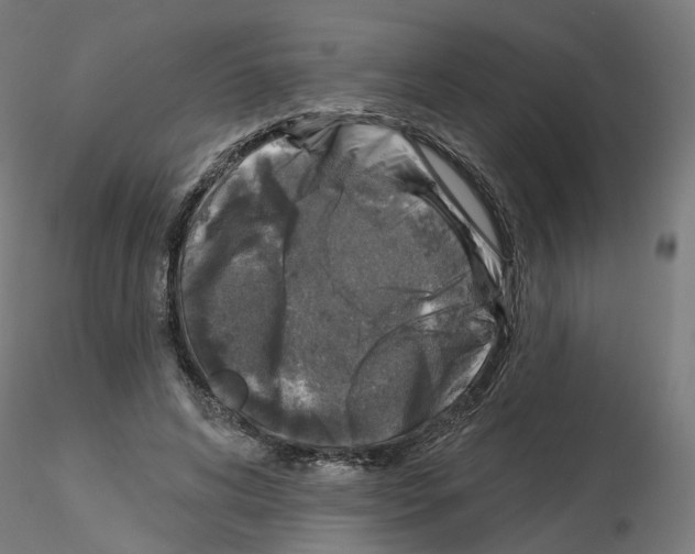 X0000115550592200912181555