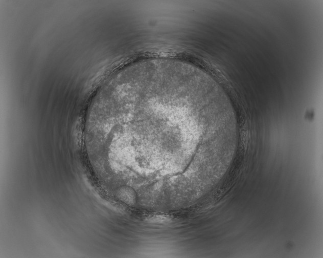 X0000115550594200912181555