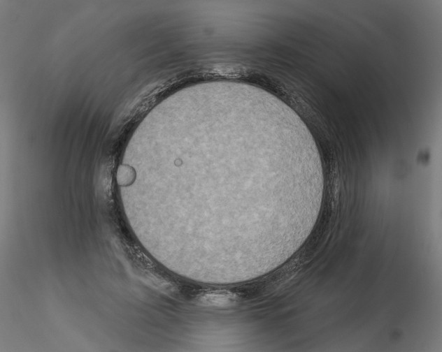 X0000115550595200912181555