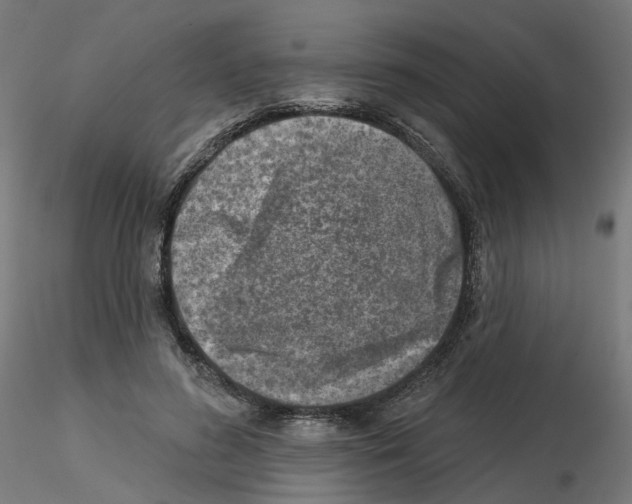 X0000115550596200912181555