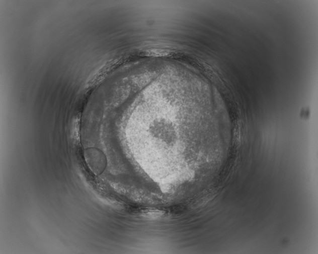 X0000115550598200912181555