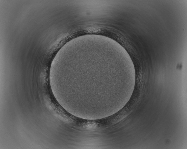 X0000115550600200912181555