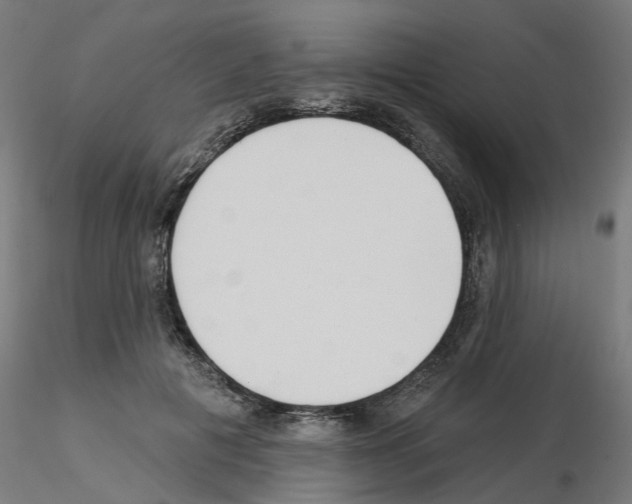 X0000115550601200912181555