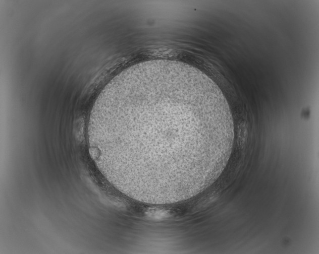 X0000115550602200912181555