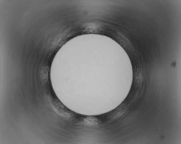 X0000115550603200912181555