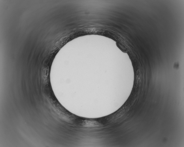 X0000115550605200912181555