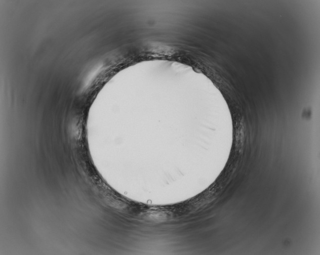 X0000115550608200912181555