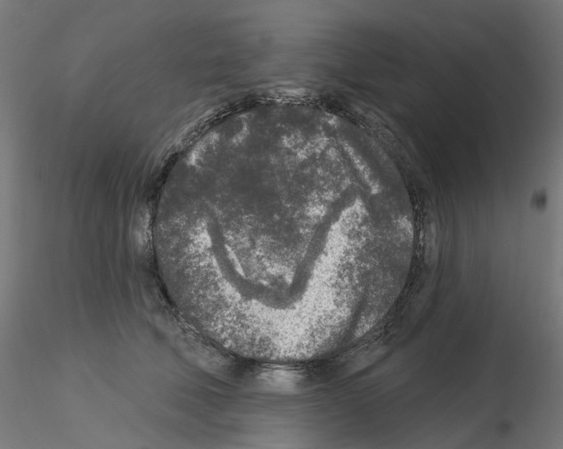 X0000115550610200912181554