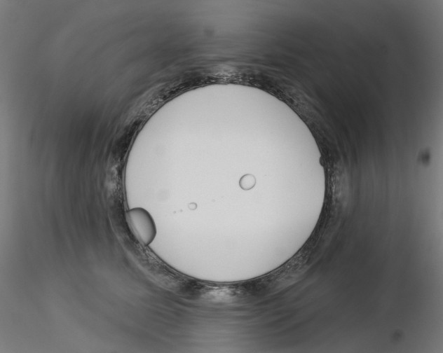 X0000115550611200912181554