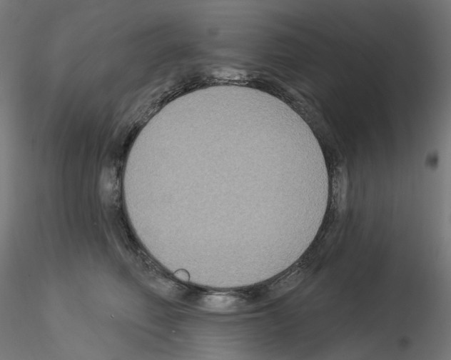 X0000115550614200912181554