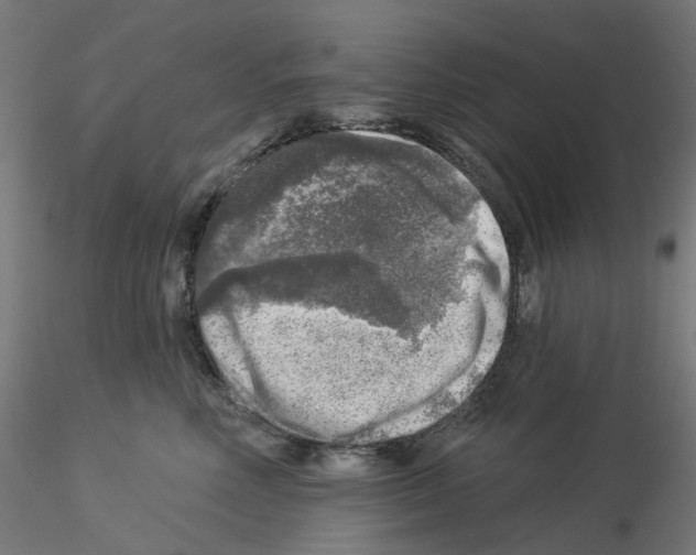 X0000115550618200912181554