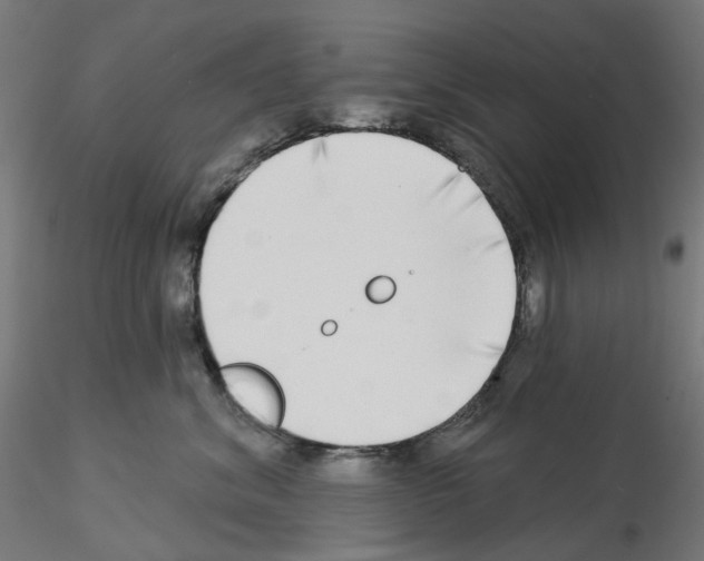 X0000115550620200912181554