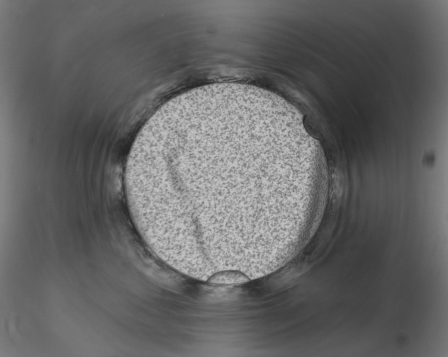 X0000115550621200912181554