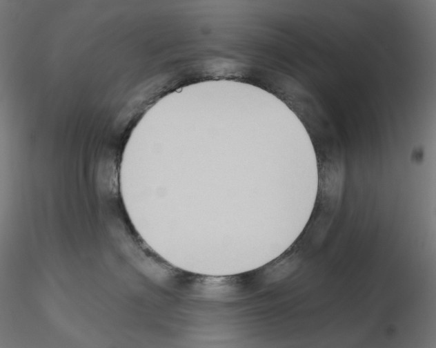 X0000115550622200912181554