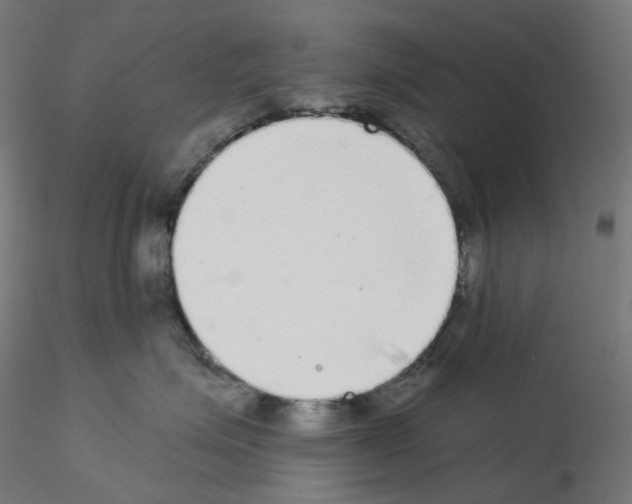 X0000115550623200912181554