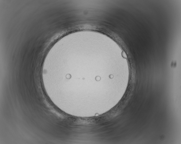 X0000115550625200912181553