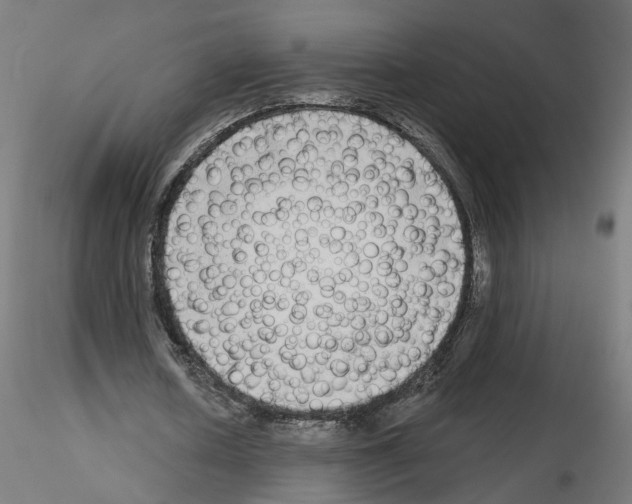 X0000115550626200912181553