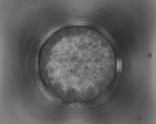 X0000115550627200912181553