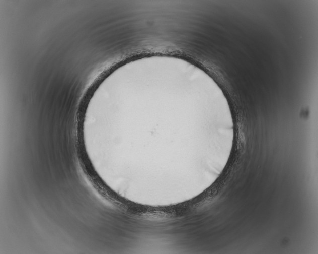 X0000115550630200912181554