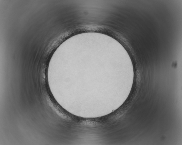 X0000115550633200912181554