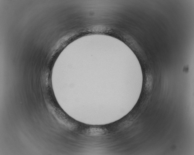 X0000115550636200912181554