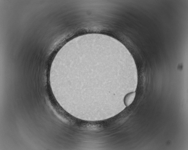 X0000115550638200912181554