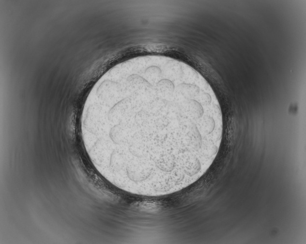 X0000115550639200912181554